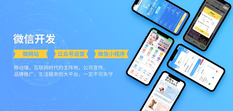 企业信息化服务选购指南